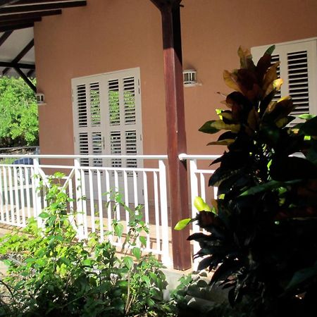 Anse Figuier Gites De France Terre-De-Haut Kamer foto
