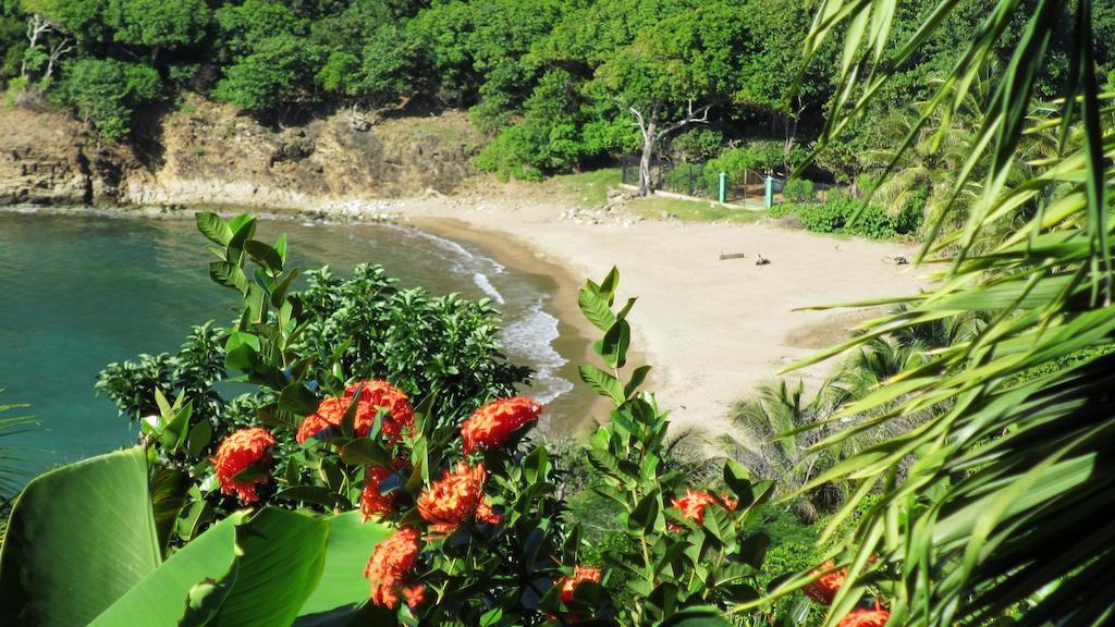 Anse Figuier Gites De France Terre-De-Haut Kamer foto